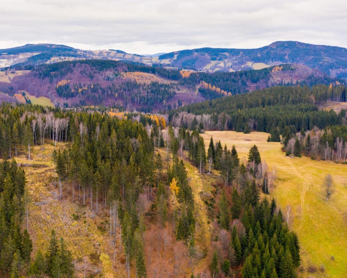 Chalet Gorskie Formy - Drewniany Dom W Gorach Z Balia *